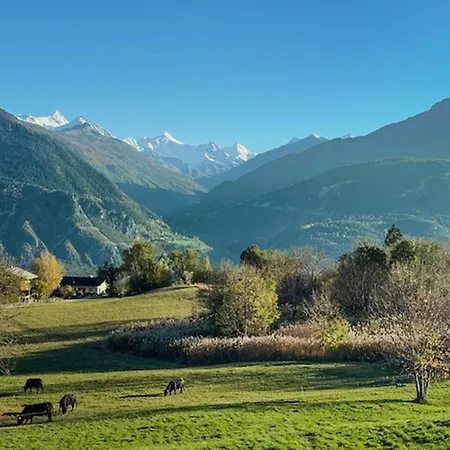 Sunny Lily Facing The Swiss Alps - Montana * Crans-Montana