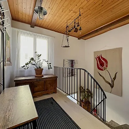 Sunny Lily Facing The Swiss Alps - Montana * Crans-Montana