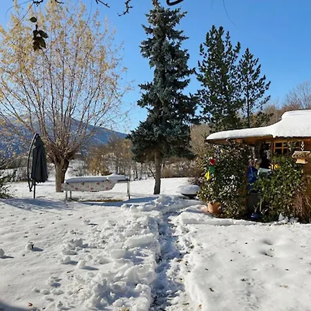 Sunny Lily Facing The Swiss Alps - Montana * Crans-Montana