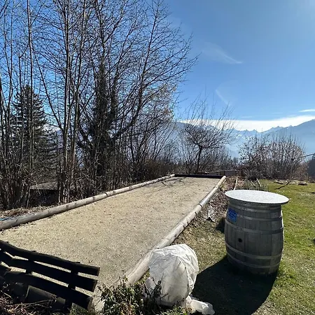 Sunny Lily Facing The Swiss Alps - Montana Crans-Montana