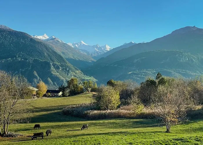 Sunny Lily Facing The Swiss Alps - Montana * Crans-Montana