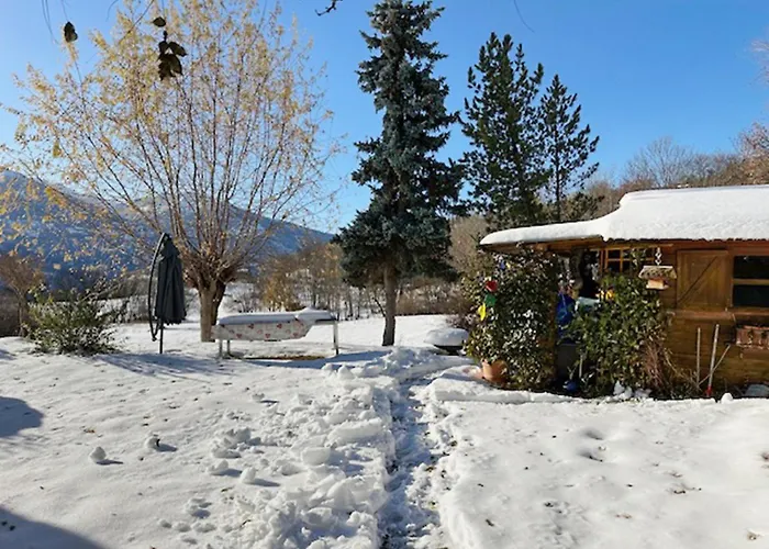 Sunny Lily Facing The Swiss Alps - Montana * Crans-Montana