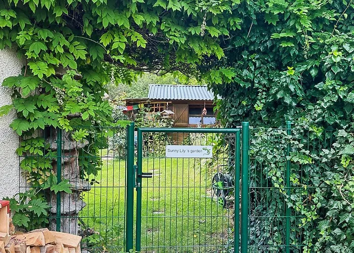 Sunny Lily Facing The Swiss Alps - Montana * Crans-Montana