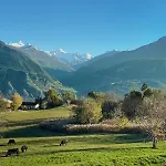 Sunny Lily Facing The Swiss Alps - Montana * Crans-Montana